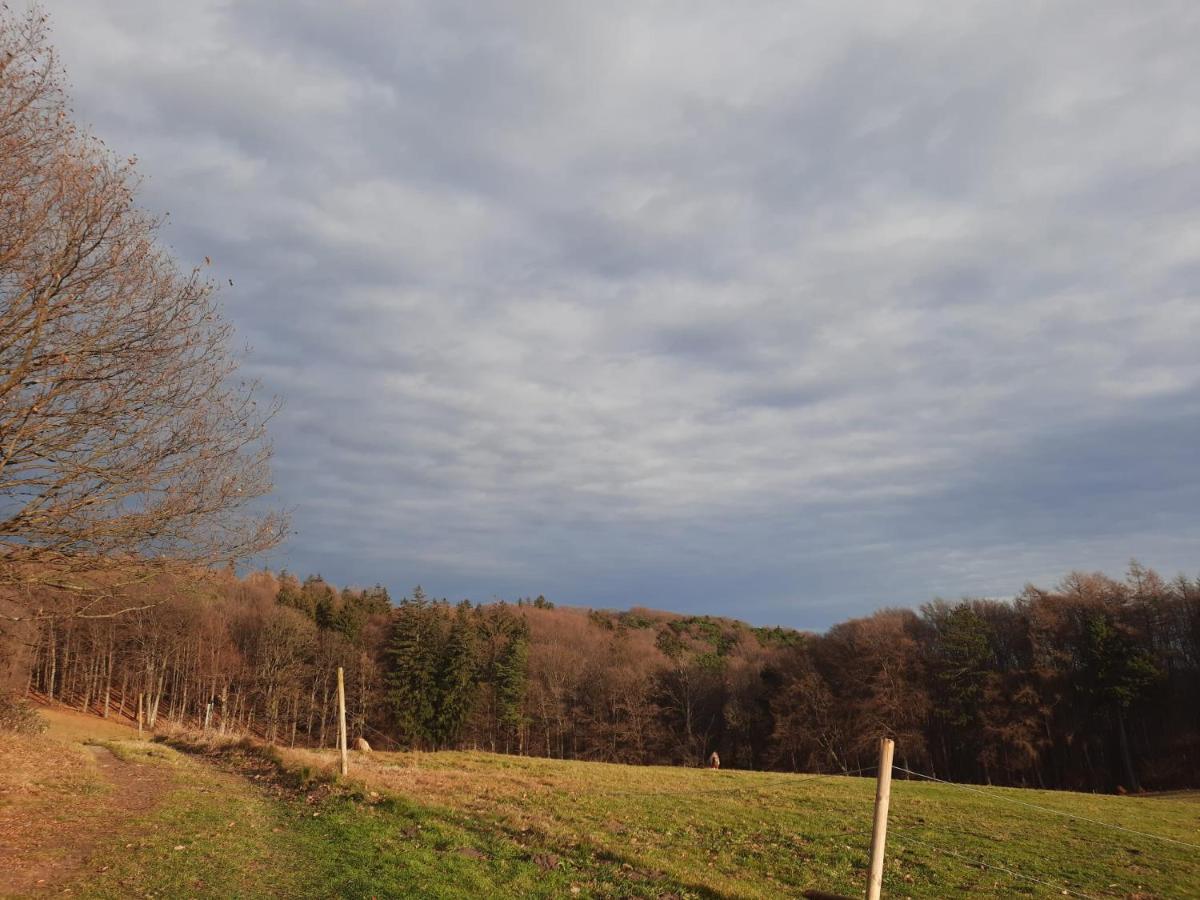 Erholungsheim Im Wienerwald Irenental المظهر الخارجي الصورة